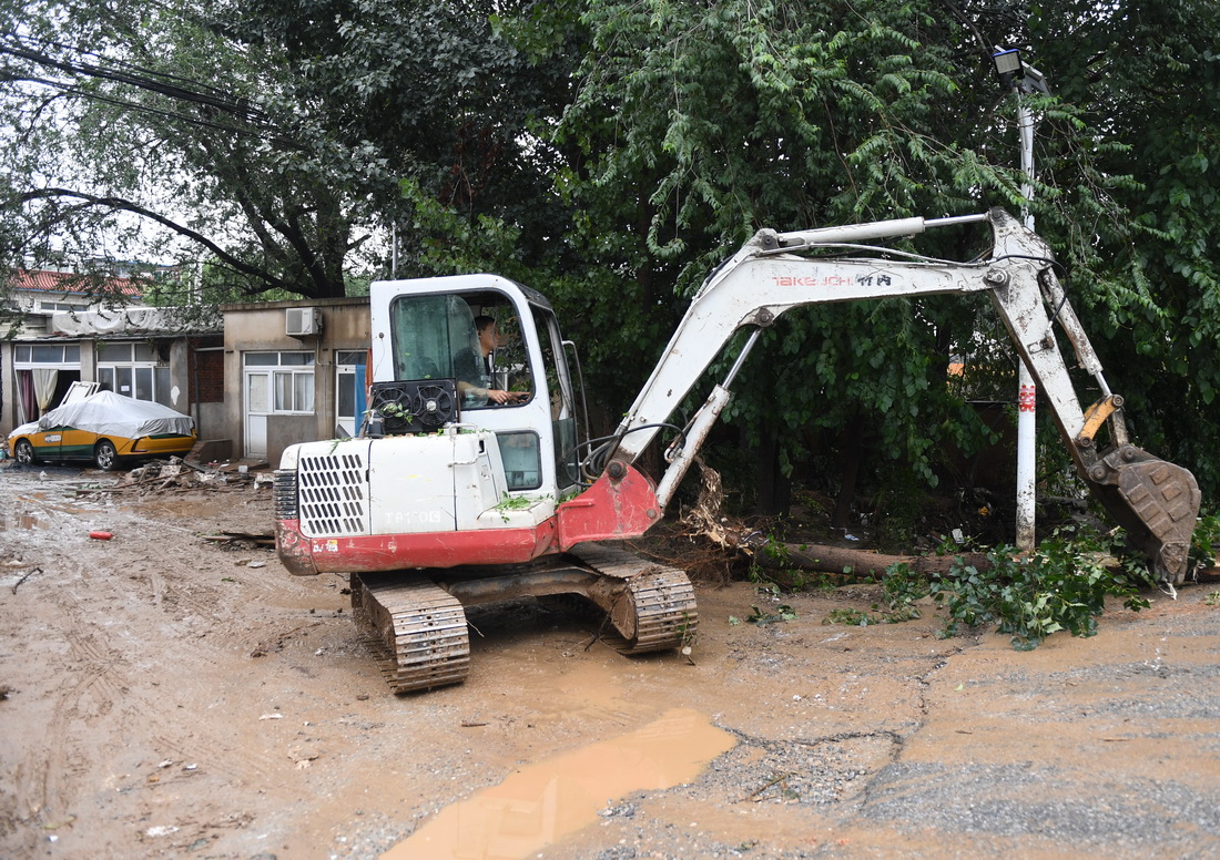 8月1日，在北京市房山区青龙湖镇上万村，工作人员清理倒伏树木。