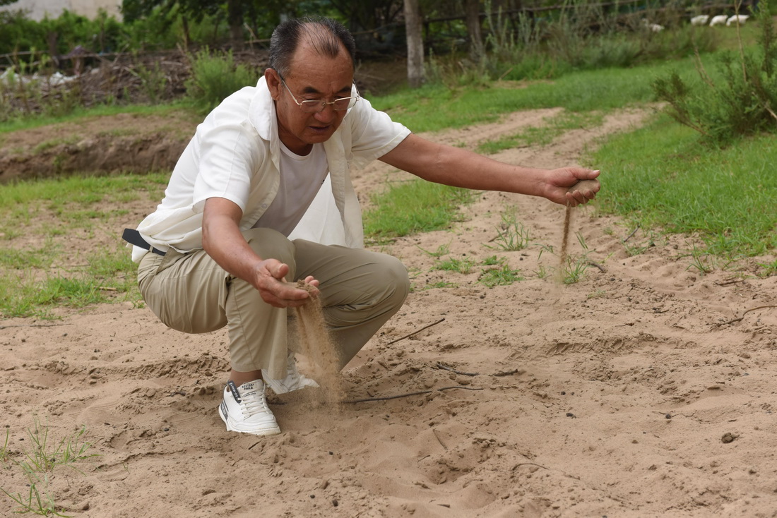 8月2日，百順展示林間小路上的沙子，這裡過去全是沙地。新華社記者 黃曉勇 攝