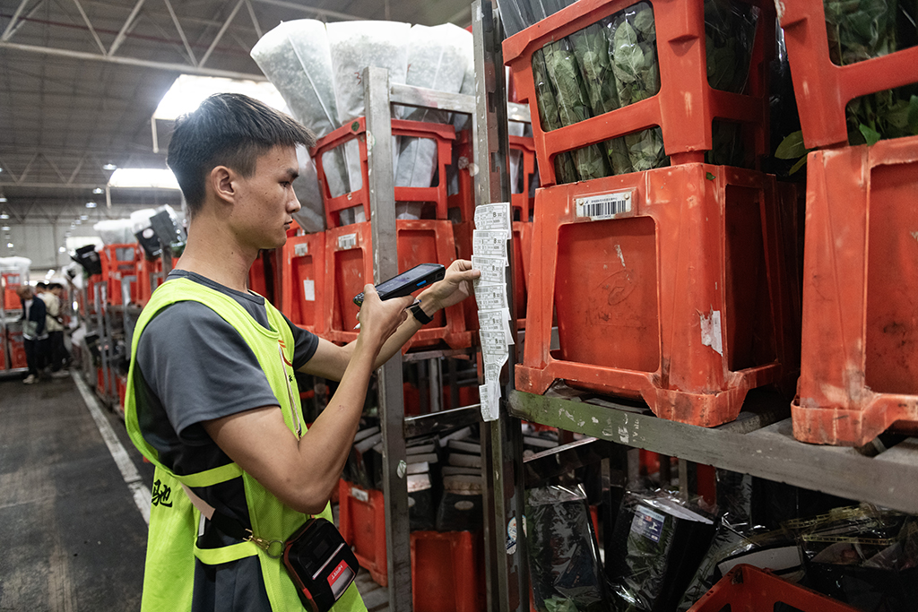 一名工作人員在昆明國際花卉拍賣交易中心內對台車上存放的鮮花進行掃碼（7月13日攝）。新華社記者 陳欣波 攝