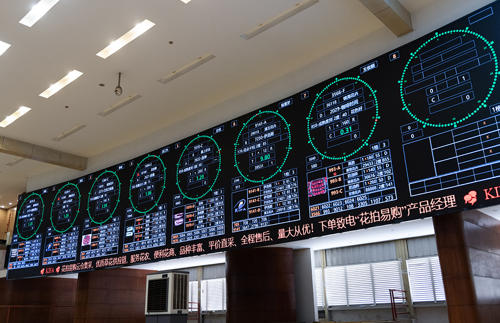這是昆明國際花卉拍賣交易中心拍賣大廳的大屏上實時顯示的鮮花信息（7月13日攝）。新華社記者 陳欣波 攝