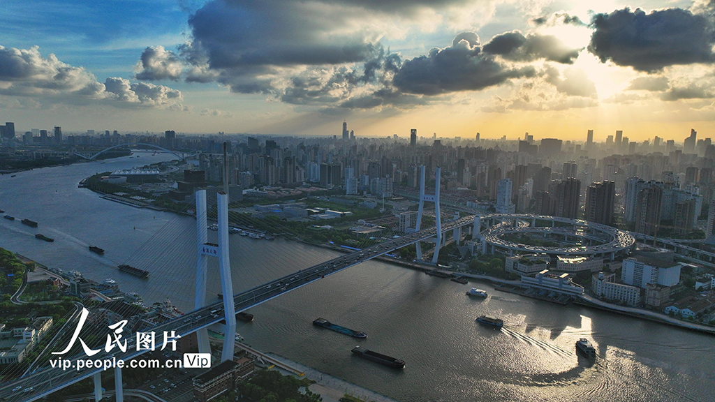 上海南浦大桥夕阳美景