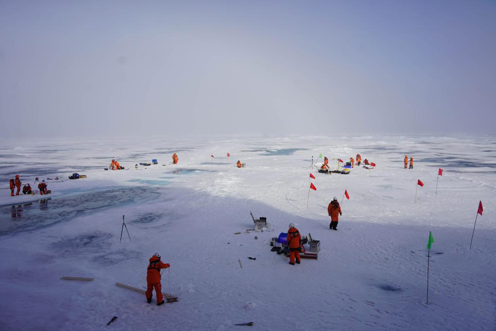 这是8月12日拍摄的首个海冰综合调查作业站位全景。