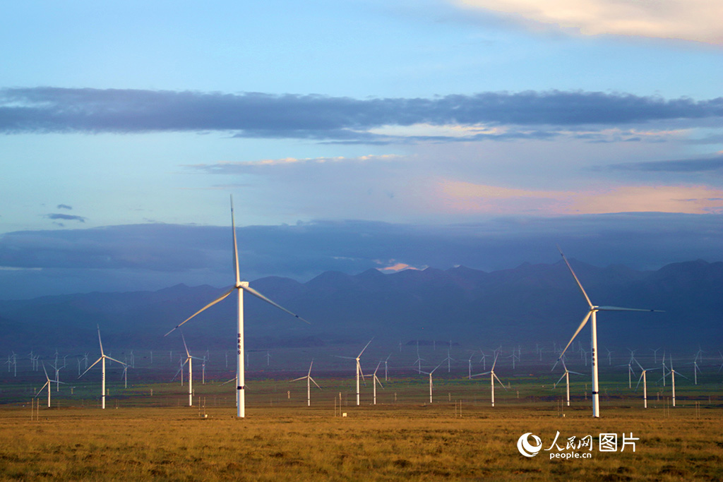 8月4日傍晚，青海省海南藏族自治州共和县境内，大型风力发电机随风旋转，与广袤的草原构成一幅风景画。汩汩绿电在这里积聚，一路向东，点亮中原之灯。人民网记者 杨启红摄