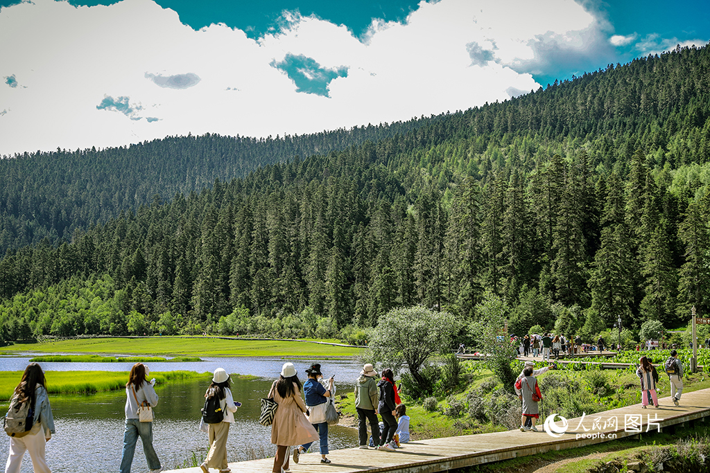 6月26日，游客漫步云南省迪庆藏族自治州普达措公园感受绿意清凉。近年来，普达措公园通过实施一系列生态保护措施，园内90%的湿地及森林植被都已恢复自然生态。洁净的空气和优美的自然环境，每年都吸引着大量国内外游客前来亲近自然。人民网 曾智慧摄