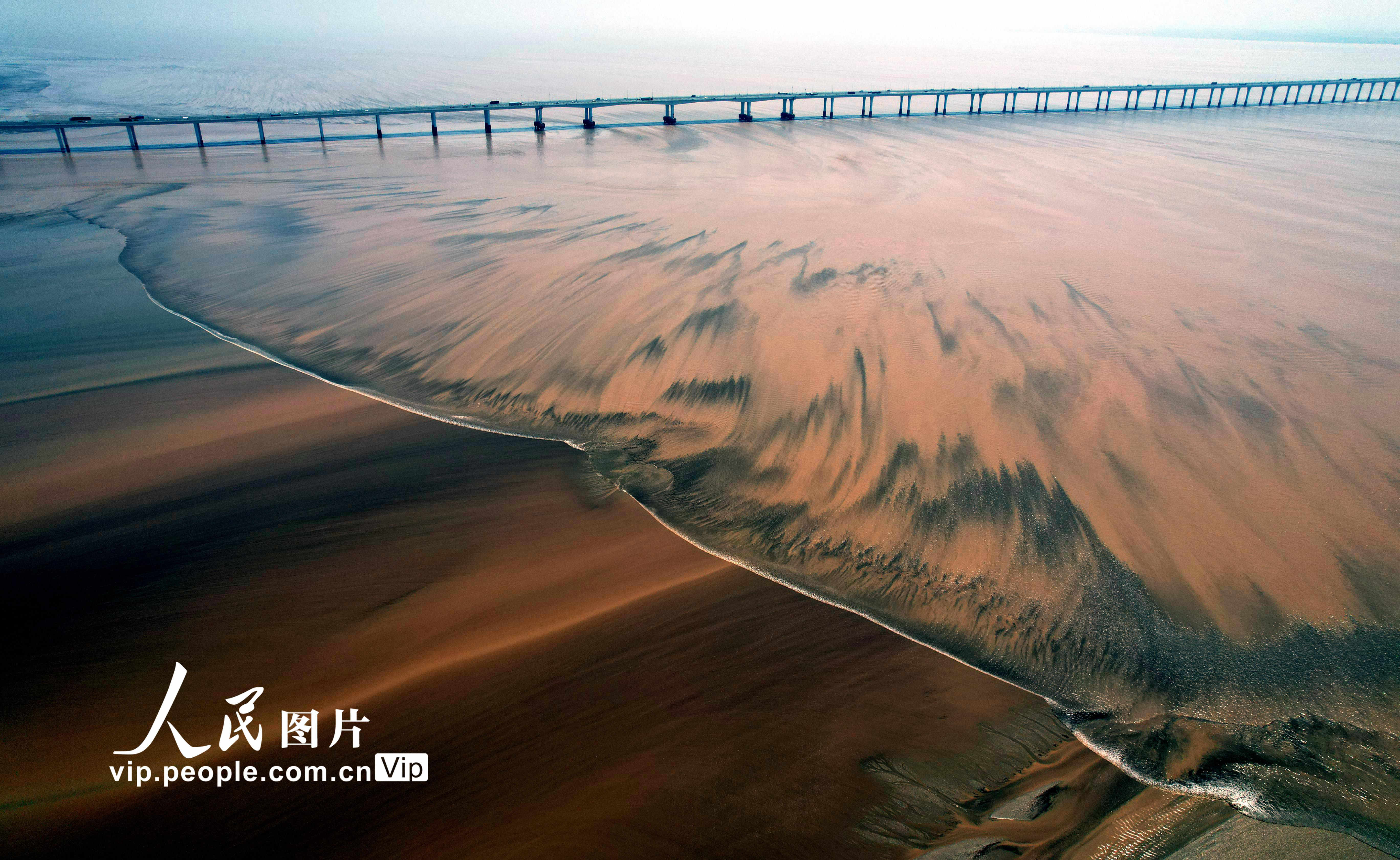 8月18日，潮水经杭州湾从海宁尖山入海口嘉绍跨江大桥下进入钱塘江，然后涌上江中沙洲，与各种形状的“潮汐树”相映。