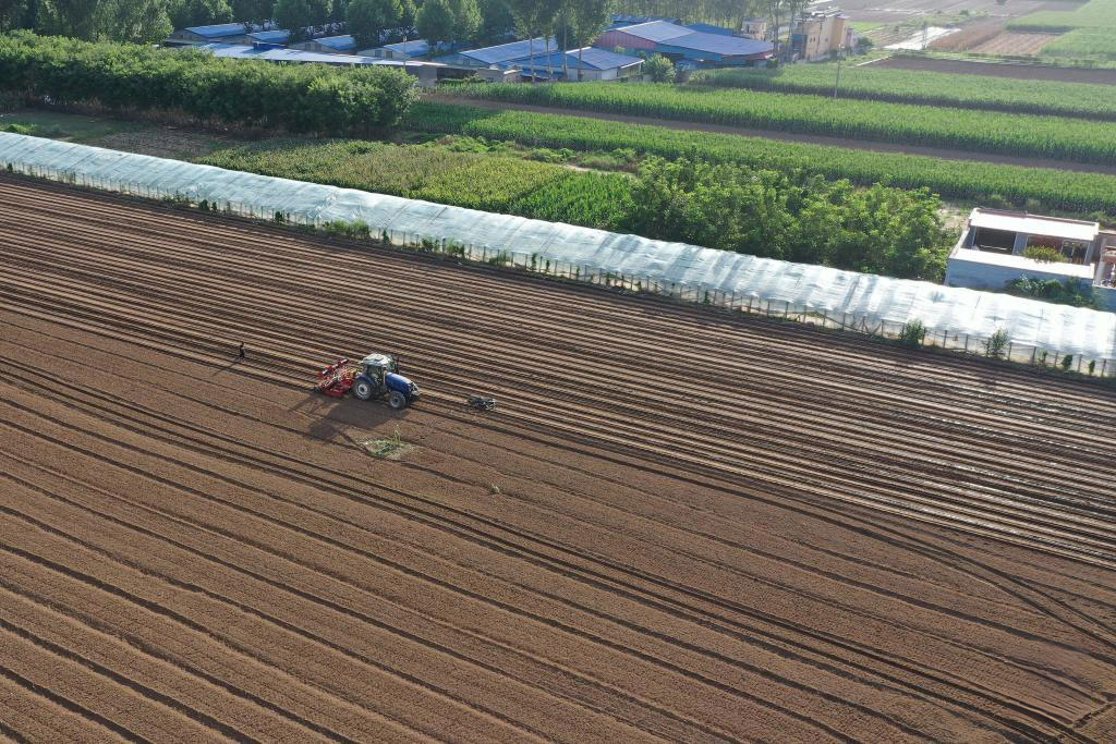 8月18日，播种机在涿州市刁窝镇潘各庄村进行补种作业（无人机照片）。