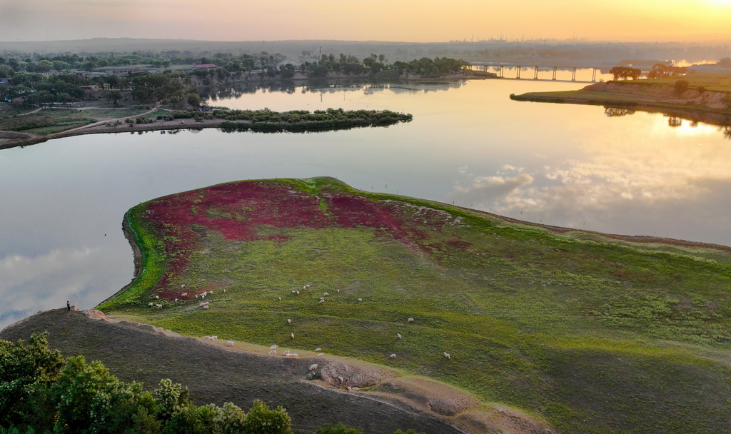 ������������«�ӣ�8��20���㣬���˻���Ƭ����