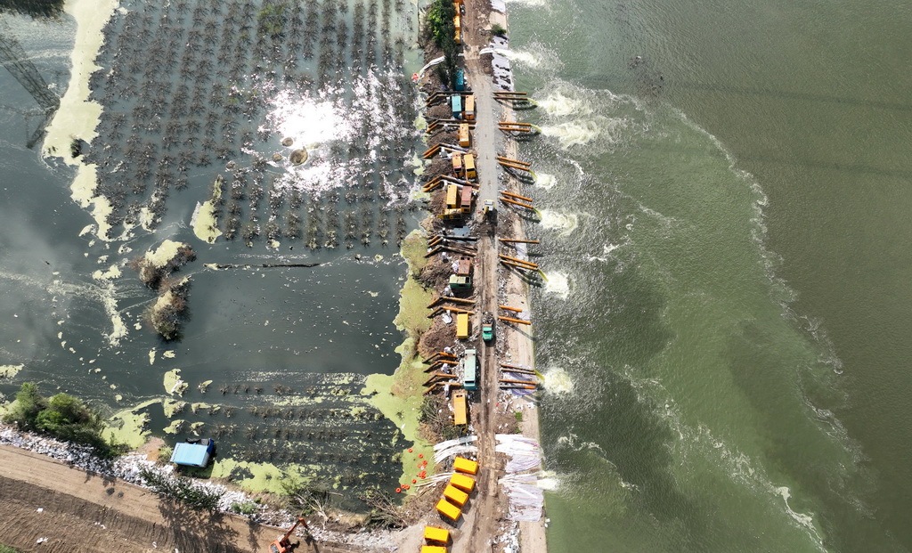 8月24日，大型抽水泵在将天津市静海区王口镇茁头排干渠西侧农田内的积水抽排到大清河河道内（无人机照片）。