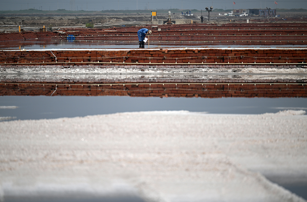 9月6日，在天津长芦汉沽盐场，工人在盐池中测量卤水深度。新华社记者 赵子硕 摄