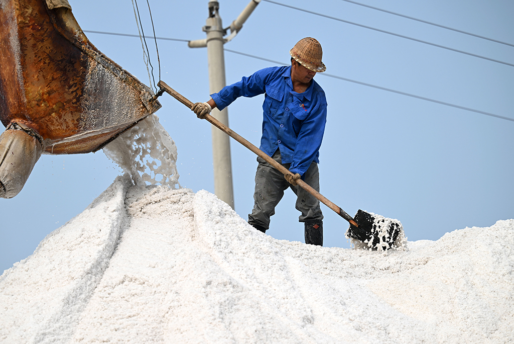 9月6日，在天津長蘆漢沽鹽場，工人在鹽池中測量鹵水深度。新華社記者 趙子碩 攝
