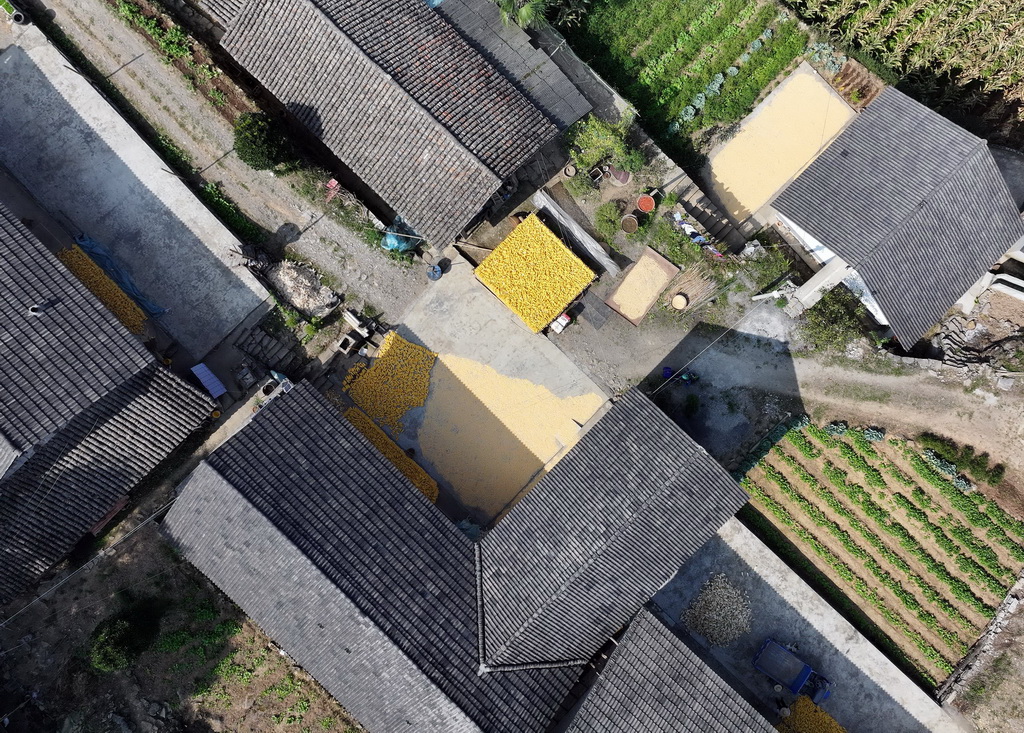 9月9日拍攝的秭歸縣九畹溪鎮穿心店村村民晾晒的農產品（無人機照片）。