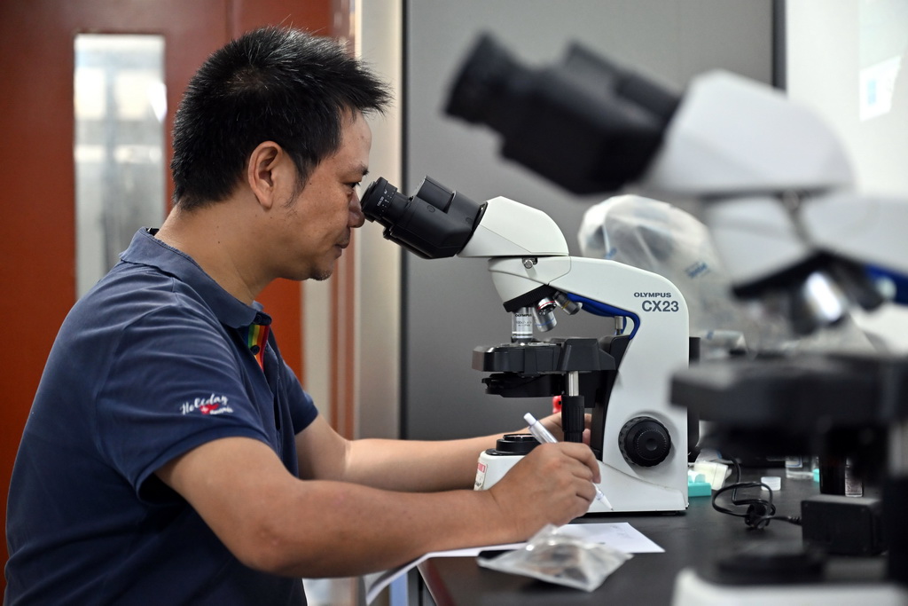 9月8日，曾念開在海南醫學院用顯微鏡觀察菌類孢子並繪圖。