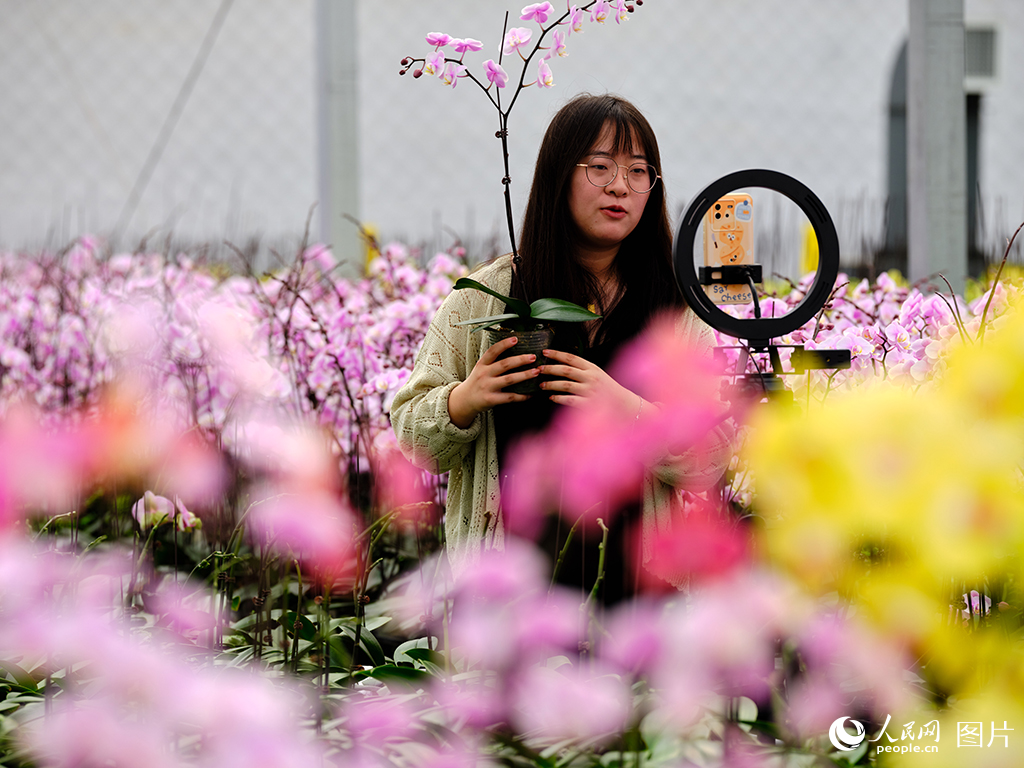 江蘇宿遷：花開幸福來【5】