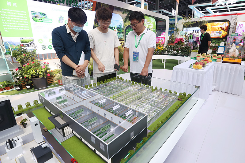 2023年9月12日，参观者在第三十届中国北京种业大会展馆了解农作物育种加速器。