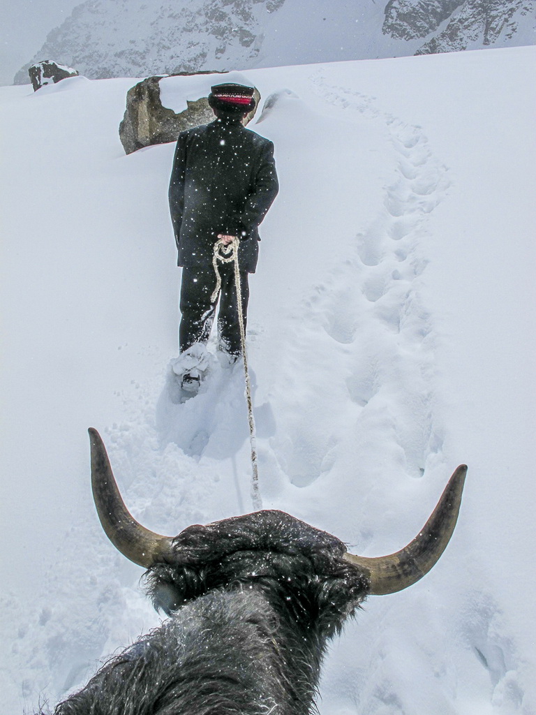 2010年9月25日，拉齊尼牽著牦牛踏著厚厚的積雪在邊境線上巡邏。新華社發（王烈 攝）