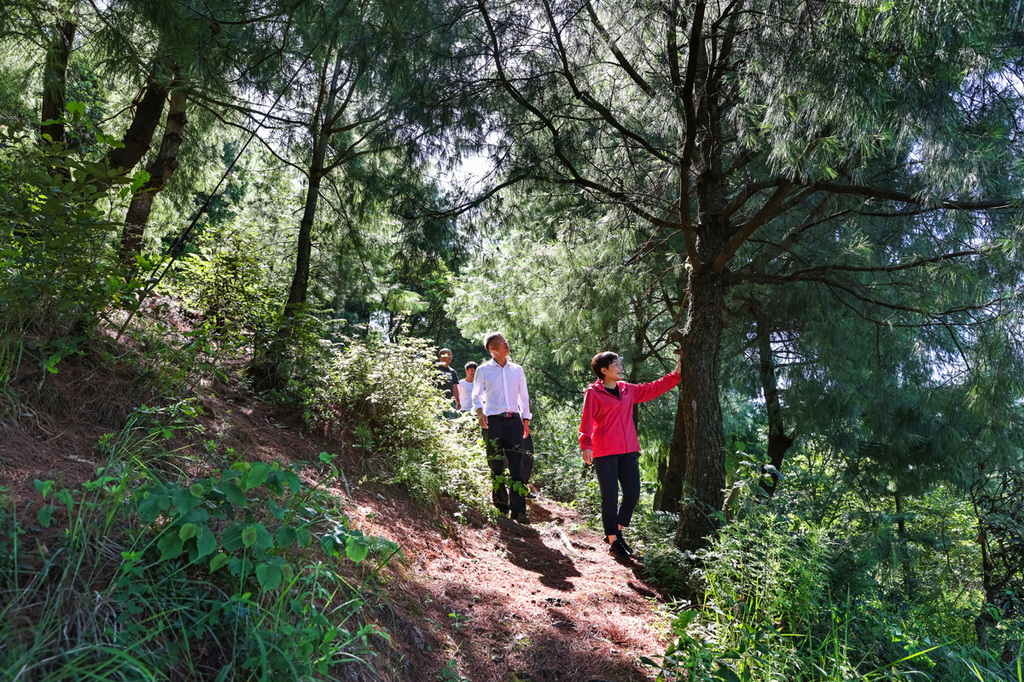 余留芬和回鄉任職的彝族大學生在岩博村林場實地考察。鄭璐攝