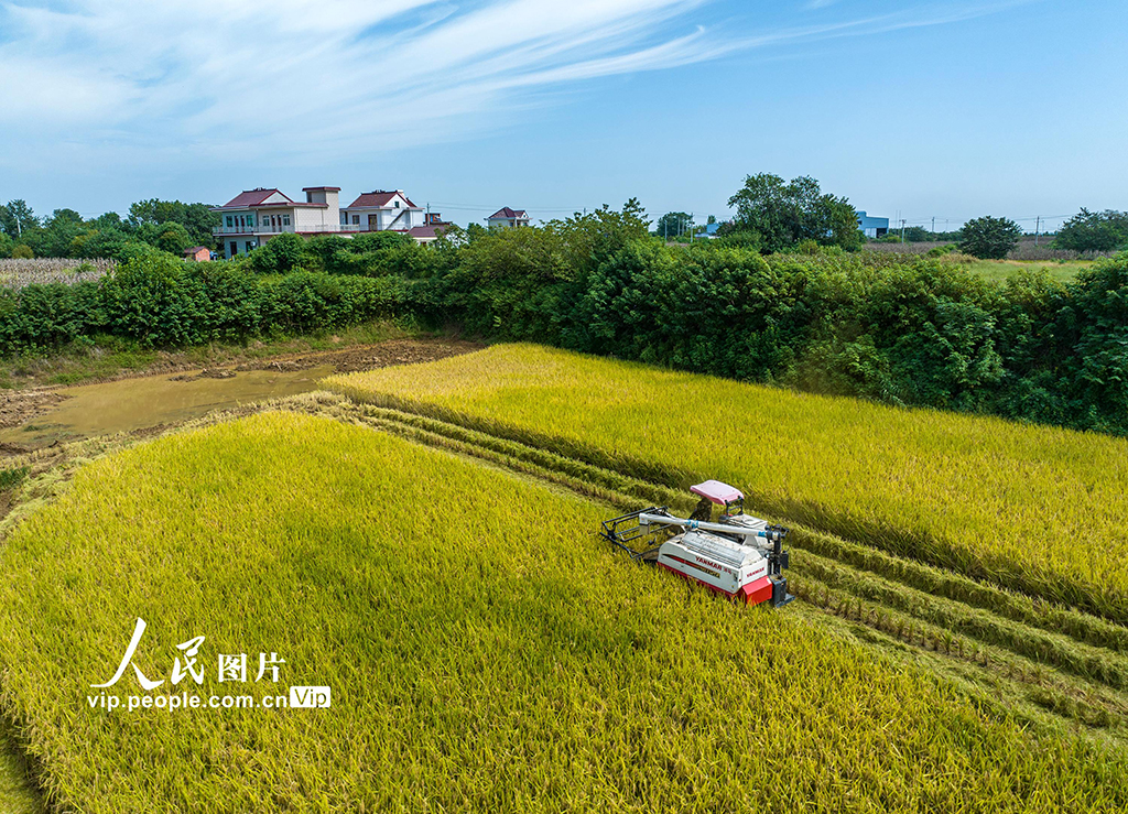 ������Ϊ���ո�ˮ����6��