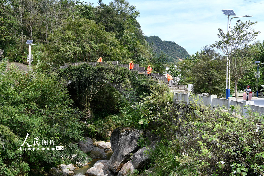 湖北通城：村民護古橋