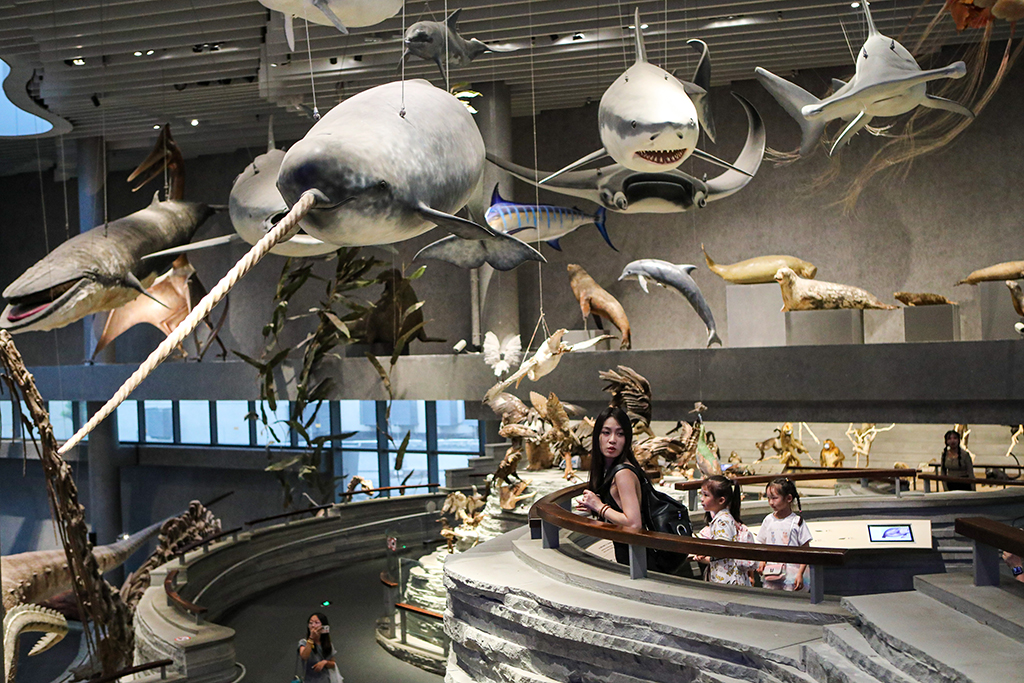 9月20日，游客在上海自然博物館參觀。新華社記者 辛夢晨 攝