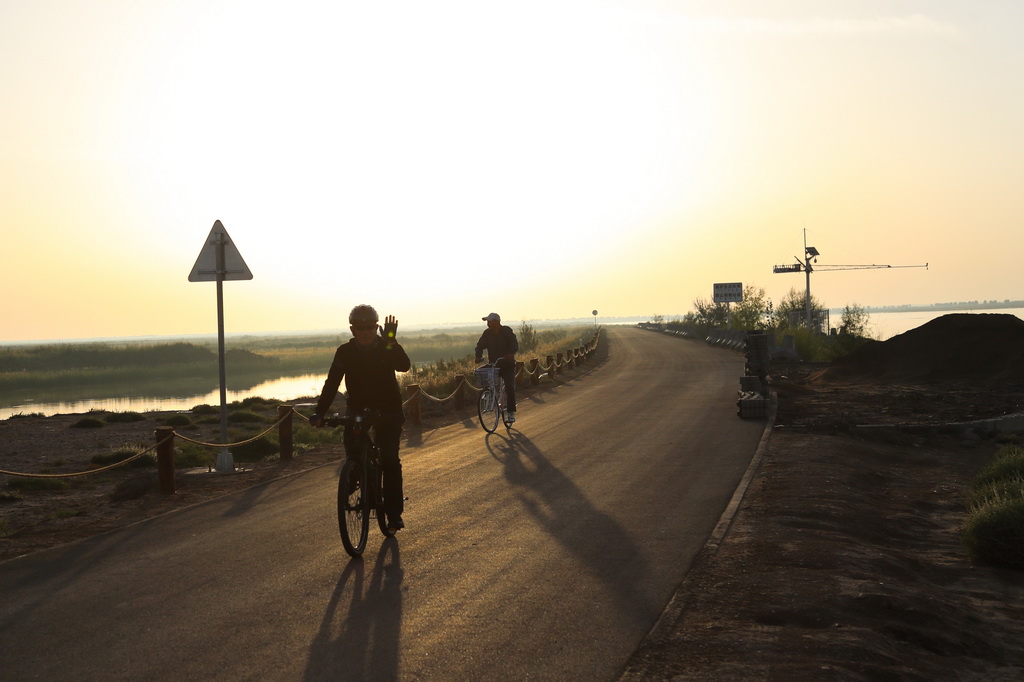 騎行愛好者在巴彥淖爾市境內的黃河畔騎行（9月15日攝）。新華社記者 王楷焱 攝
