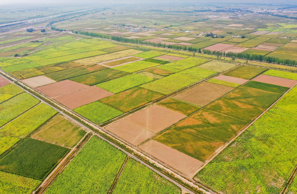 這是內蒙古巴彥淖爾市臨河區城關鎮使用節水技術灌溉的農田（無人機照片，9月14日攝）。新華社記者 連振 攝