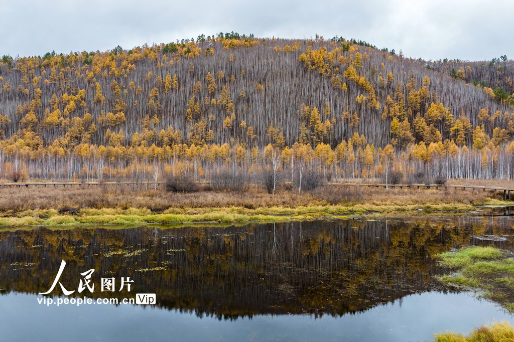 黑龍江漠河：山水畫廊秋色美【3】