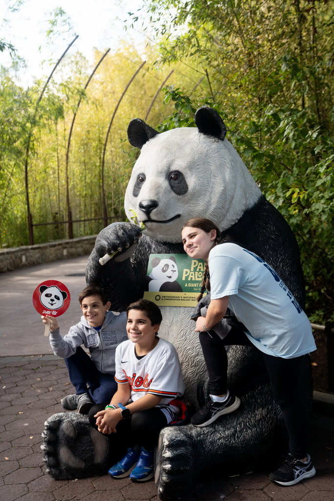 9月30日，在美國華盛頓史密森學會國家動物園，游客與大熊貓雕塑合影。