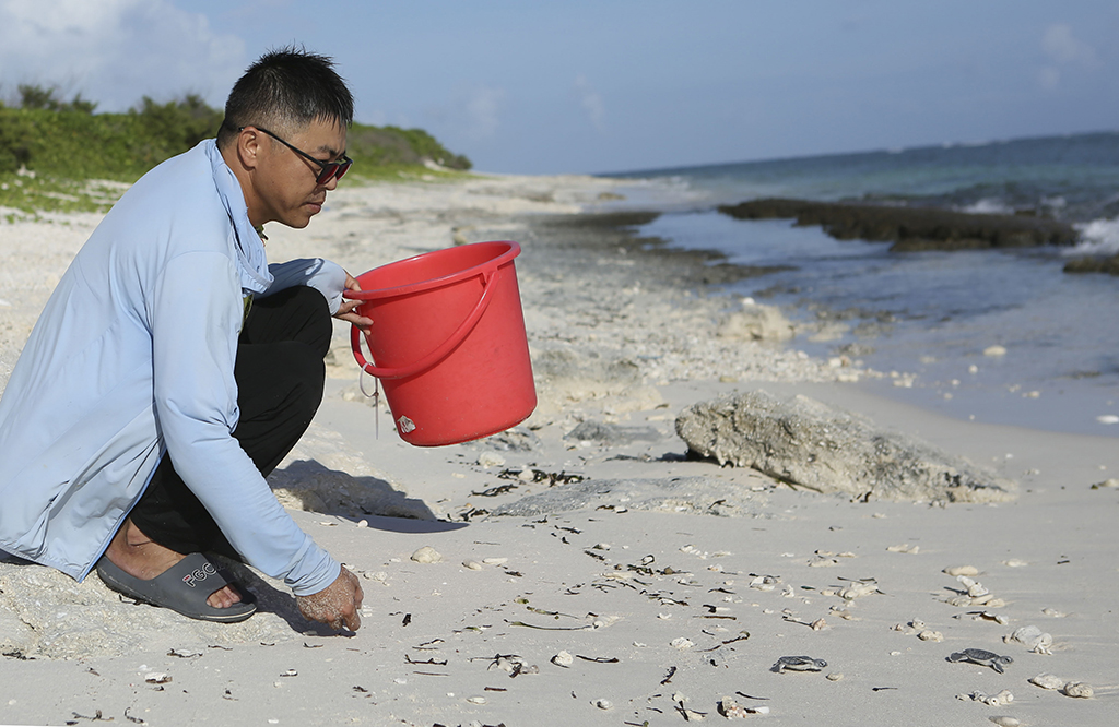 9月29日，黄程将健康的小海龟放归大海。新华社记者 樊雨晴 摄