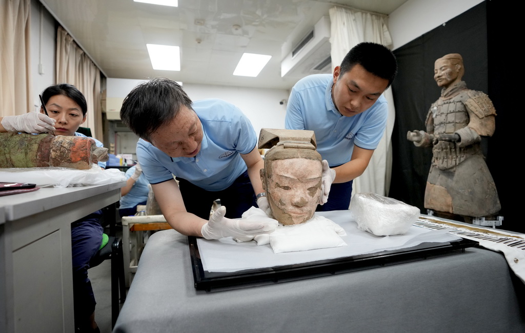 技術人員在研究秦俑俑頭彩繪還原修復后的效果（8月23日攝）。新華社記者 王毓國 攝