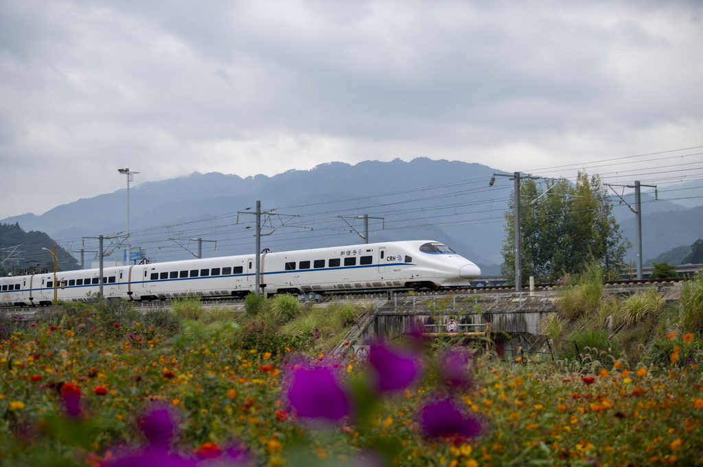 10月10日，列车在贵广高铁贵州省从江县洛香镇境内行驶。新华社发（吴德军摄）