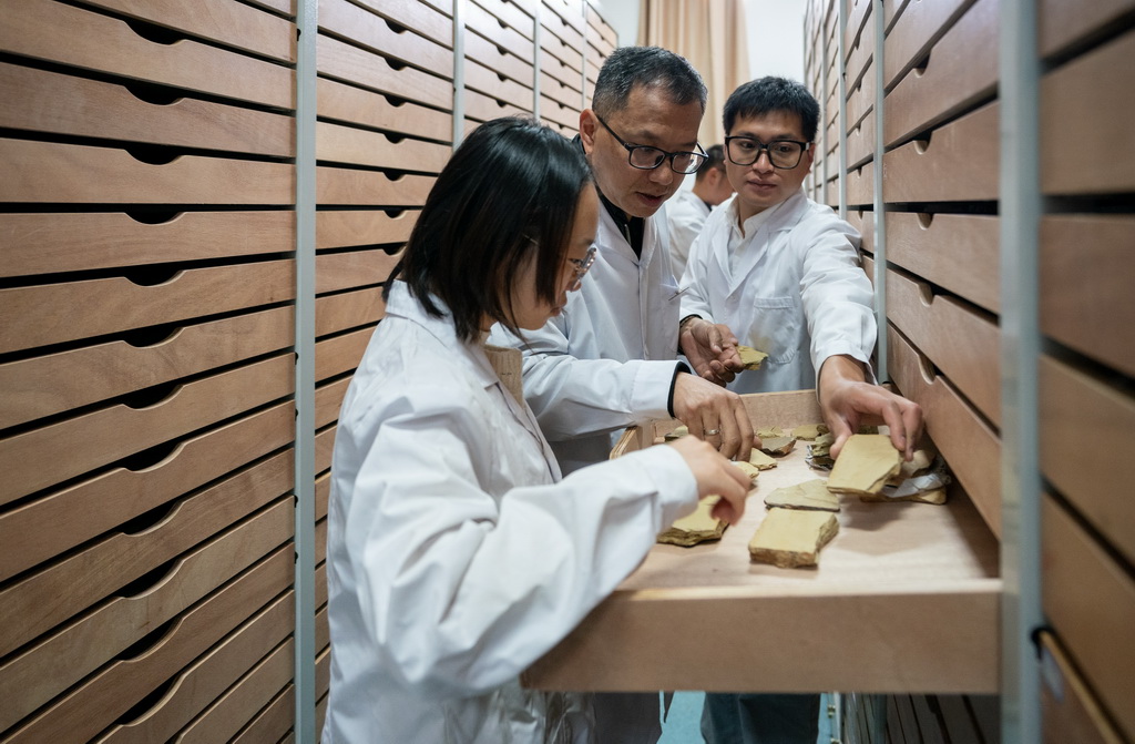 10月11日，云南大学古生物研究院研究员刘煜（左二）带领学生在化石存放库里查看化石。
