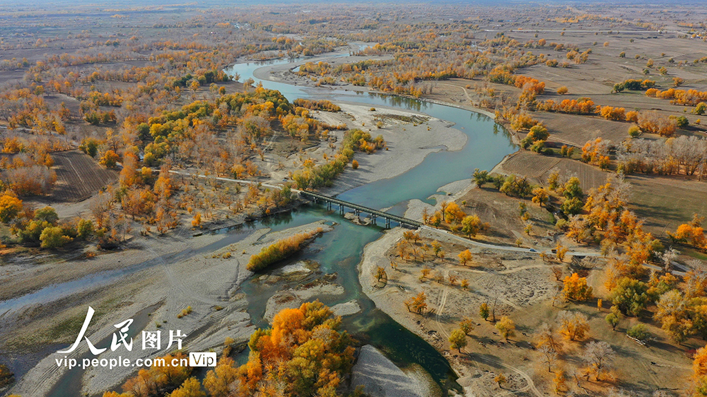 新疆：秋染額爾齊斯河