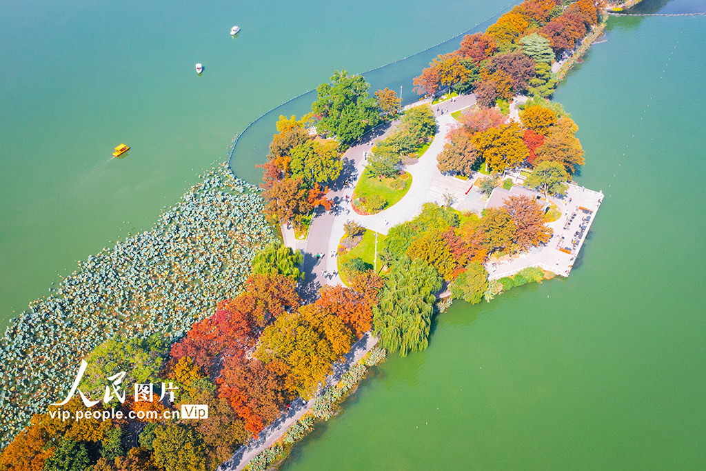 江蘇南京：秋染玄武湖 色彩斑斕美如畫