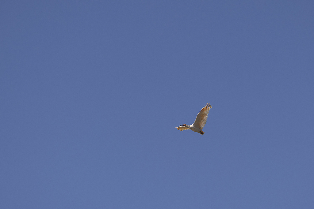 10��27���ڽ����γ�ʪ�����ݹ��Ҽ���Ȼ����������ķŹ���Ȼ�����q��