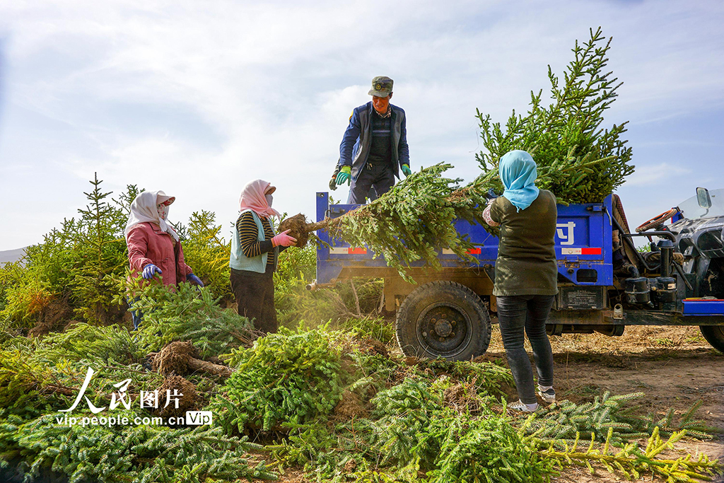 ����ͨμ��ֲ�����֡�2��