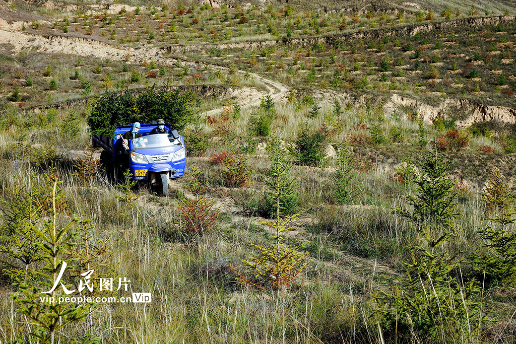 ����ͨμ��ֲ�����֡�6��