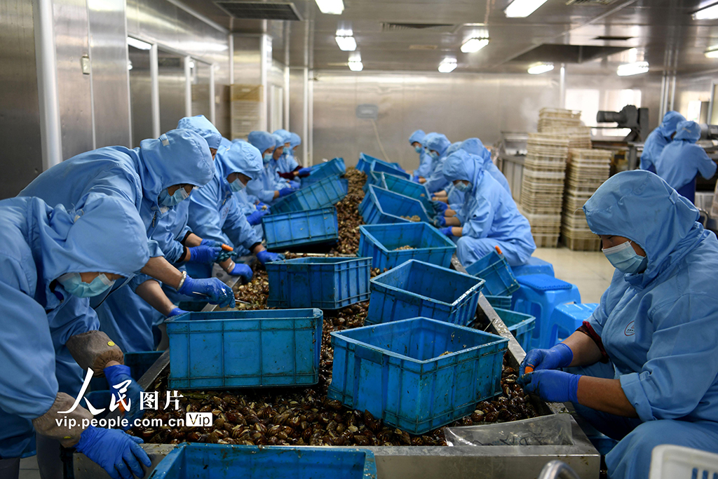 浙江嘉興：小蝸牛爬出大產業 農戶走上共富路