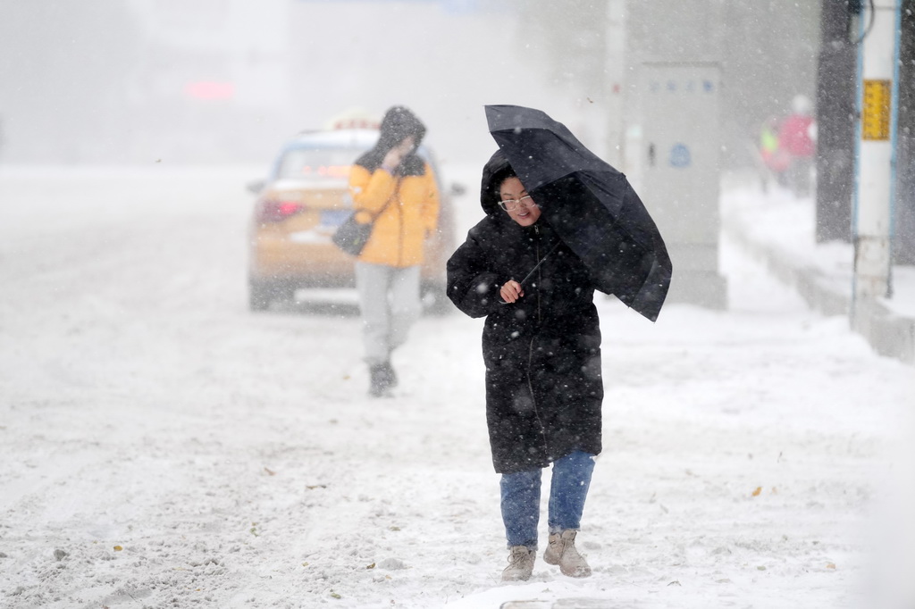 11月6日，哈尔滨市民在风雪中出行。