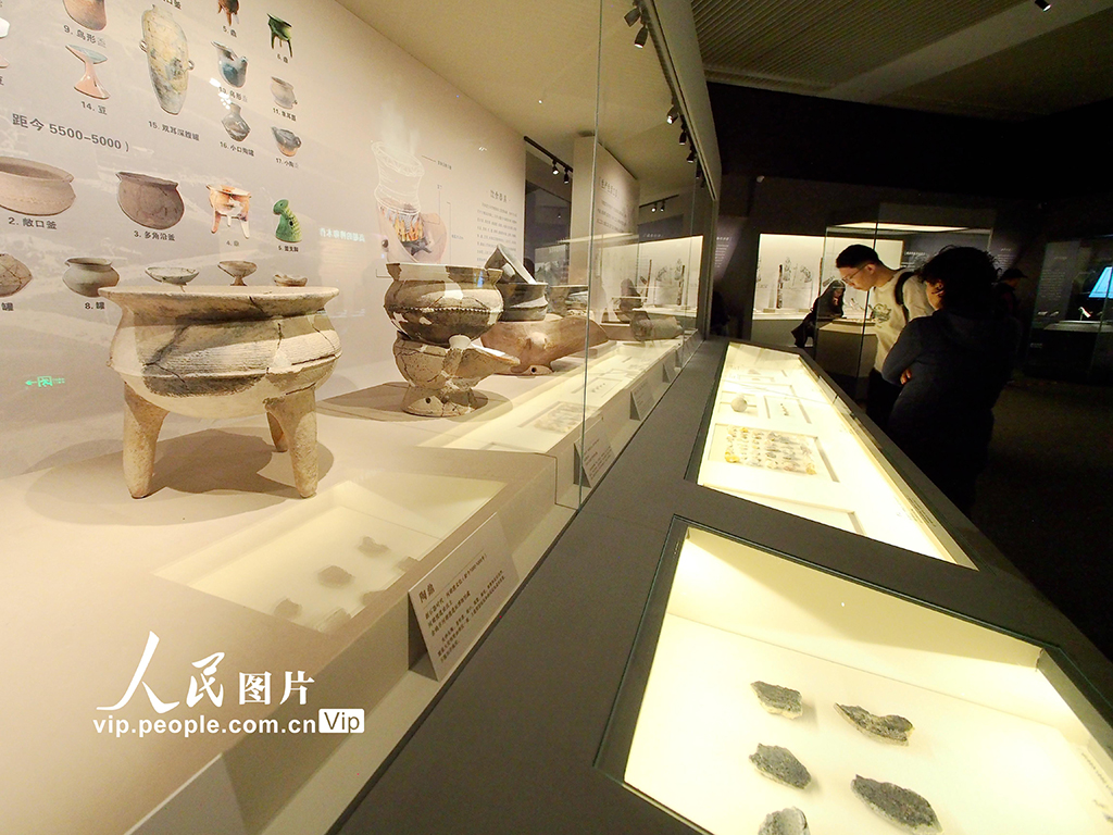 北京：河姆渡文化發現50周年考古成果特展對公眾開放【3】