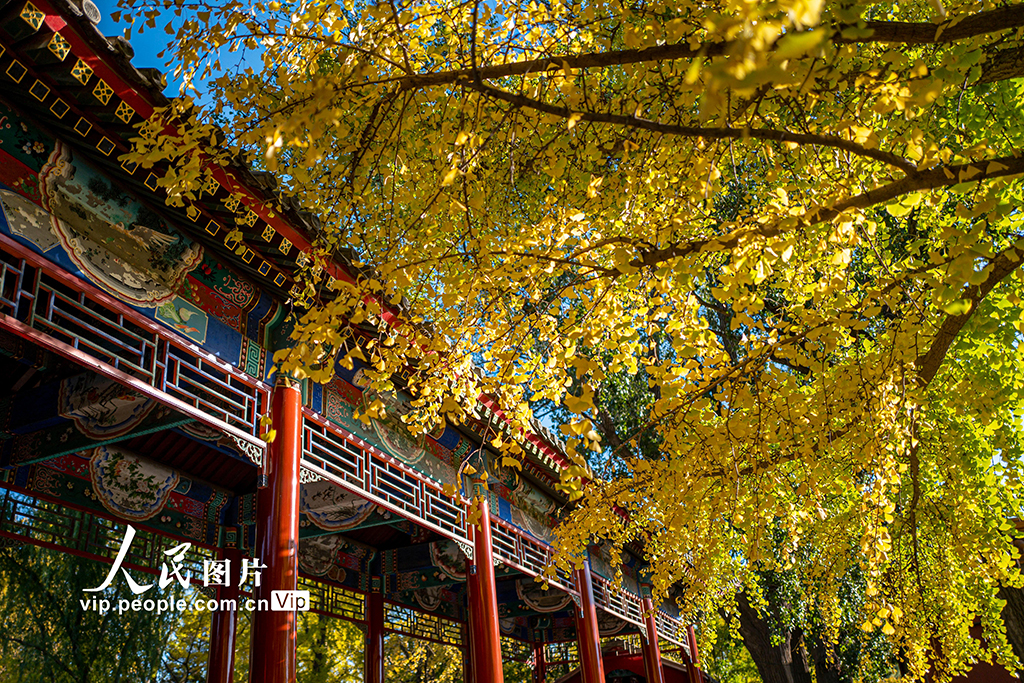 北京：中山公園美景迎客來