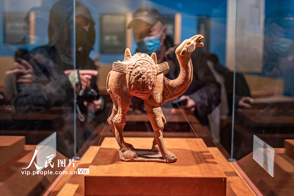 北京：五洲四海“一带一路”文物考古合作展吸引观众