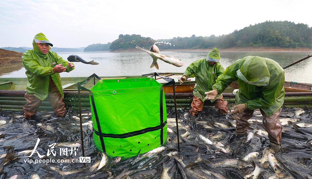 ������ǣ����㹩�г���5��