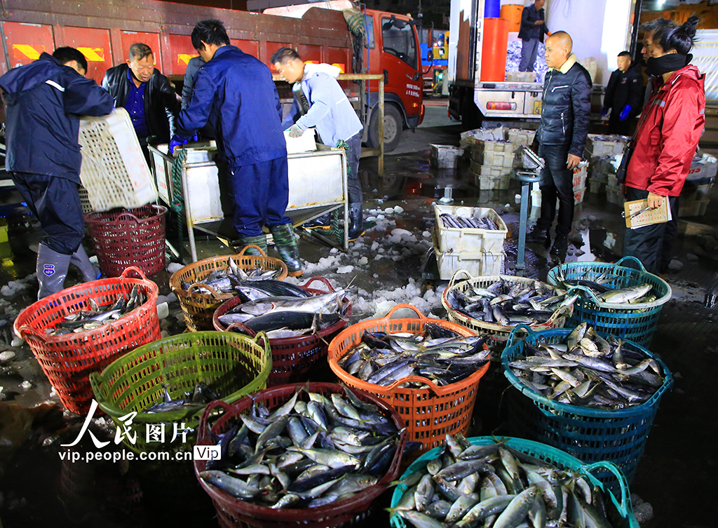 浙江玉环：渔获丰收