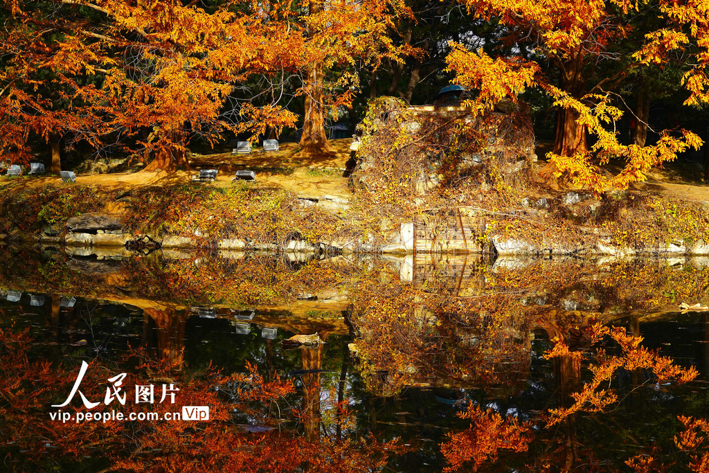 �ú�԰�����ղ�Ҷ�ͷ� �����续��4��