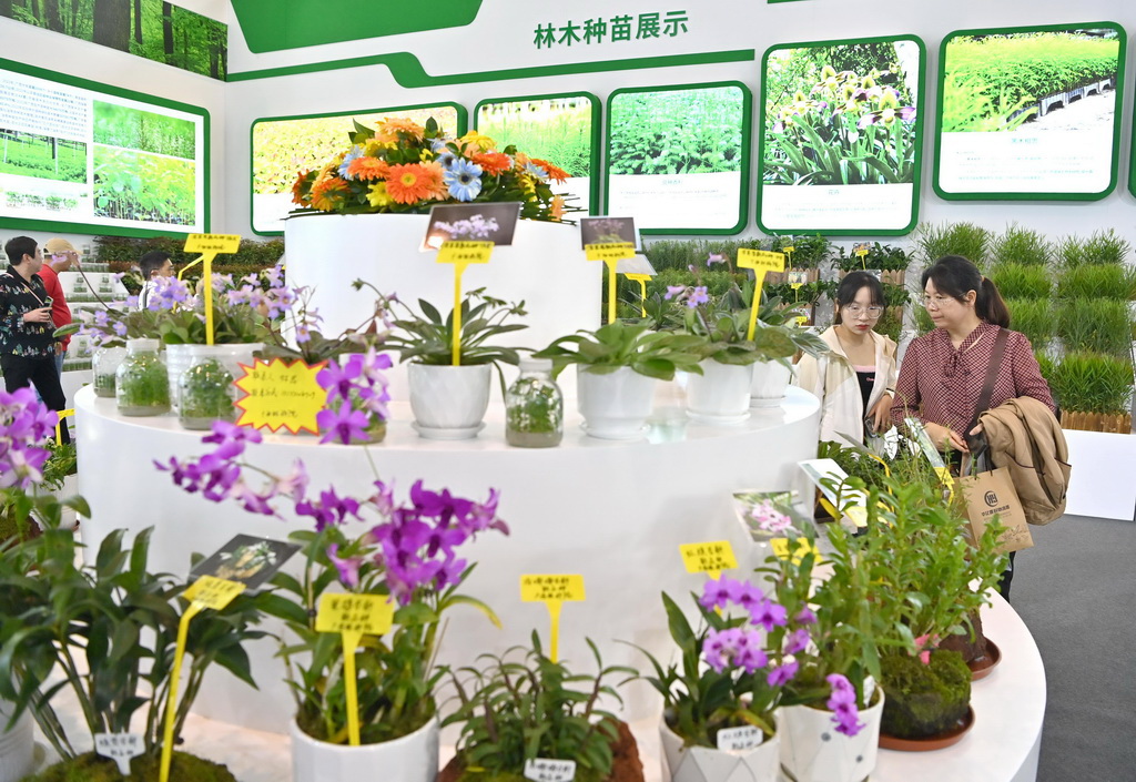 11月25日，观众在南宁国际会展中心参观石斛新品种。