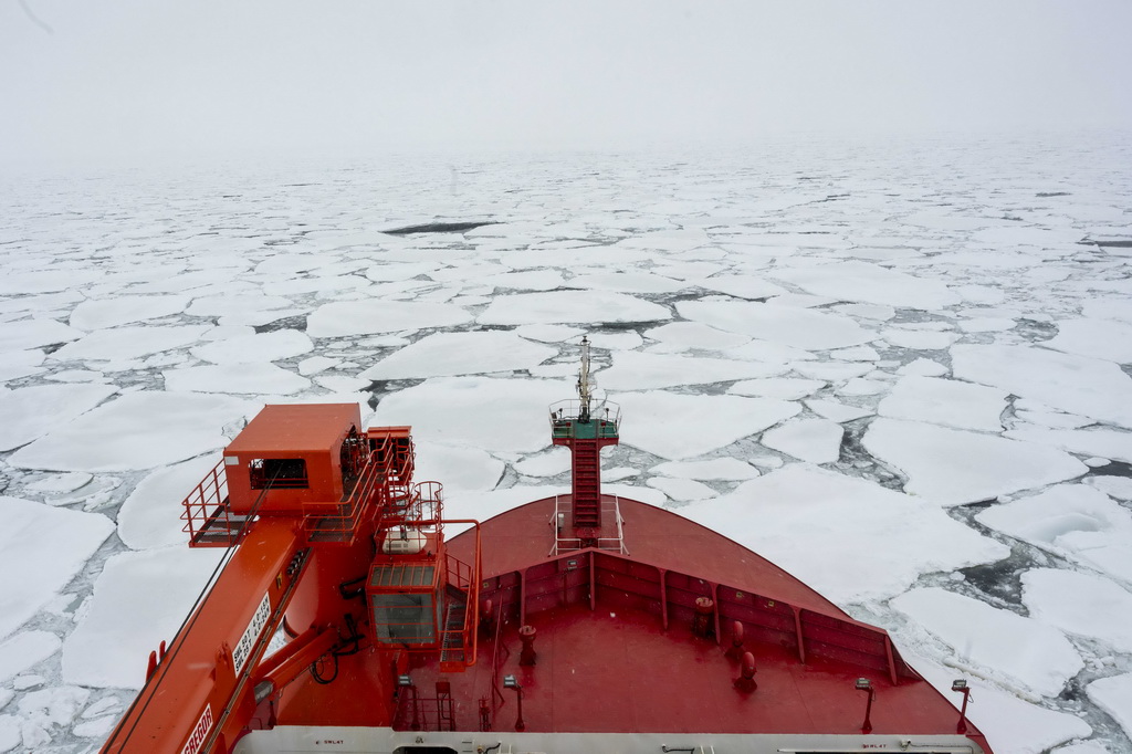 11月30日，“雪龙2”号在穿越浮冰区。新华社记者 周圆 摄