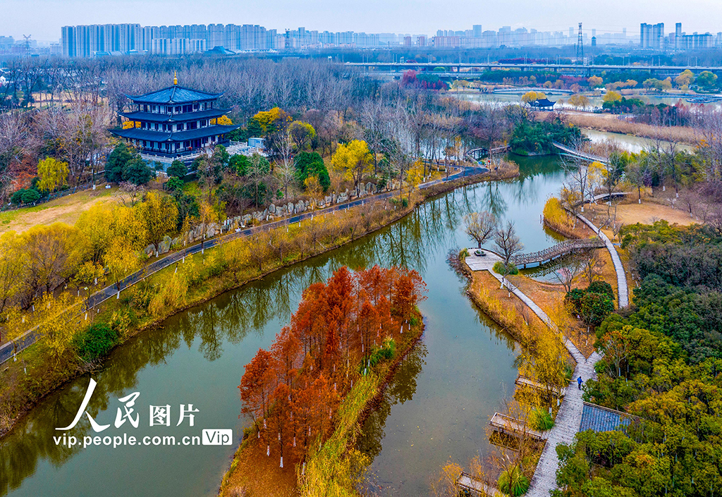 江蘇淮安：古淮河國家濕地公園冬韻濃【5】