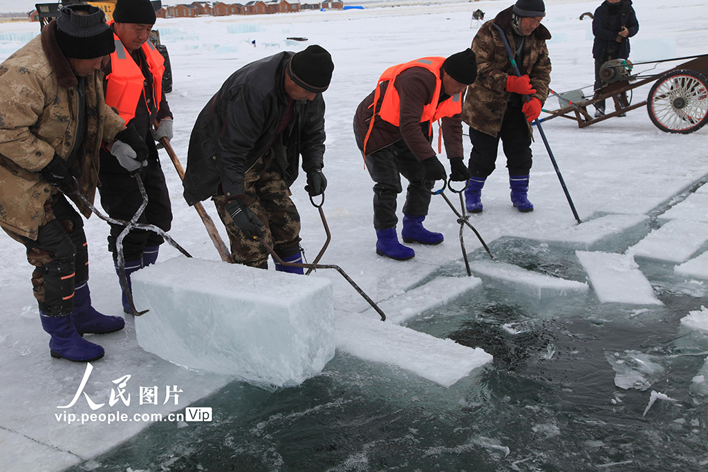 新疆巴裡坤：冬日採冰忙