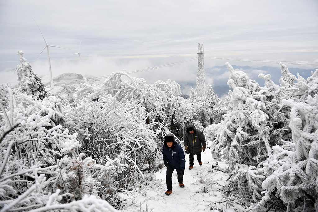 12月19日，尹斌（前）和龍昱君在110千伏西公線003號監測哨所觀測覆冰情況后返回。新華社記者 陳振海 攝