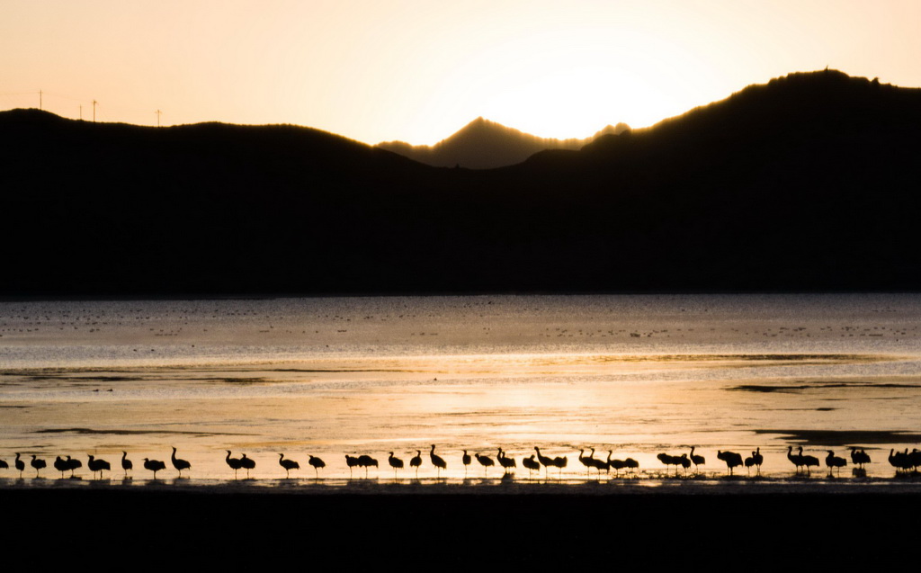 ����12��30���������������ػ�ͷɽˮ������ĺھ��ס�